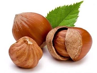 Turkish Hazelnut Butter 300 gr. - 2 Count