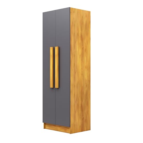 Image of Bniture Wooden Almirah for Clothes, Door for Bedroom, 2 Door Wardrobe with 4 Shelves Huge Storage Space (46D x 60W x 182H CM) | 3 Year Warranty (Giant Wood & Slate Grey)