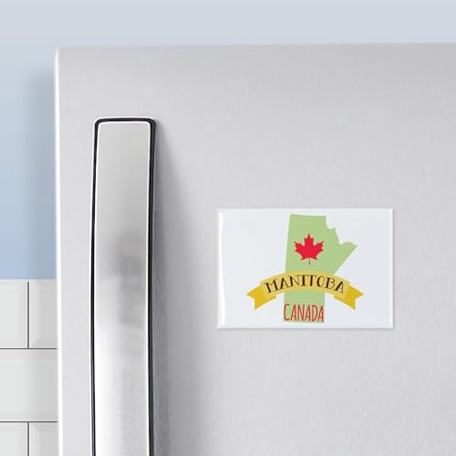 Imán rectangular para refrigerador 3x2 pulgadas miniatura 3