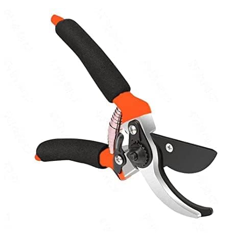 SmartCam® 8 Inch Heavy Duty Plant Cutter For Home Garden Scissors, Pruner Cutter Heavy Duty, Garden Tools For Home Gardening Scissors, Pruning Branch Cutter For Garden (RANDOM COLOR) (B09VCH8D3C) Amazon Price History, Amazon Price Tracker