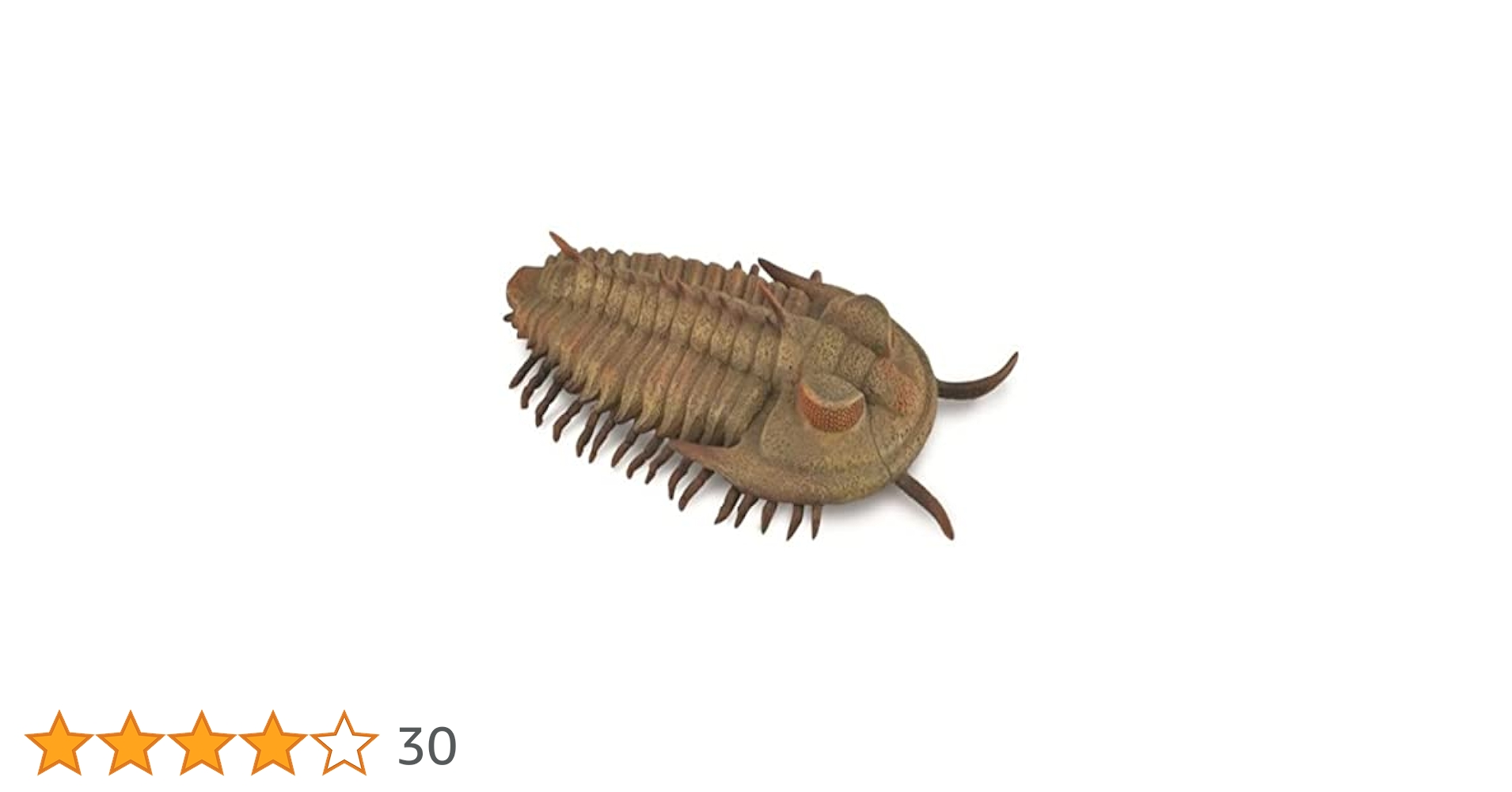 三葉虫　エルラシア　レッド　希少　極美麗 三葉虫 エルラシア レッド 希少 極美麗 三葉虫 エルラシア