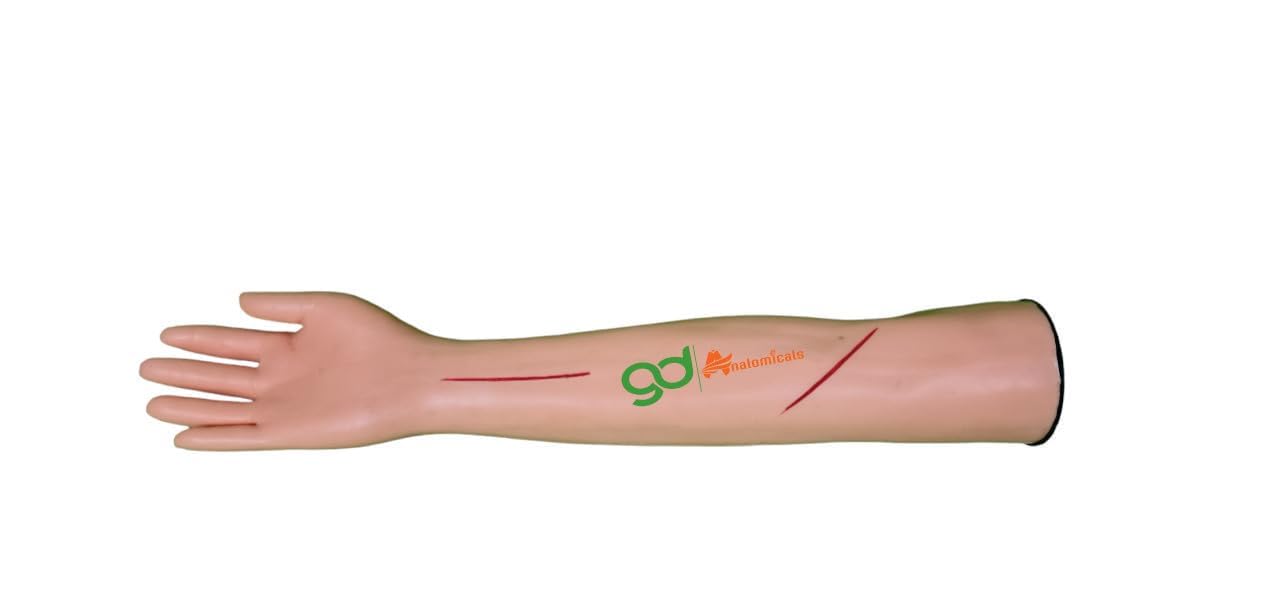 GD ANATOMICALS Anatomical Bodyparts Model for Medical Training, Patient Education, and Proctology Practice - Ideal Tool (Suturing Arm Model) (B0D5BK3KVZ) Amazon Price History, Amazon Price Tracker