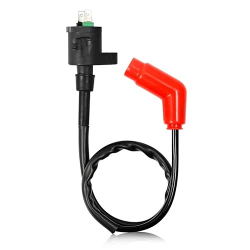 Bobina de encendido para solucionar problemas de arranque en TRX250X 2