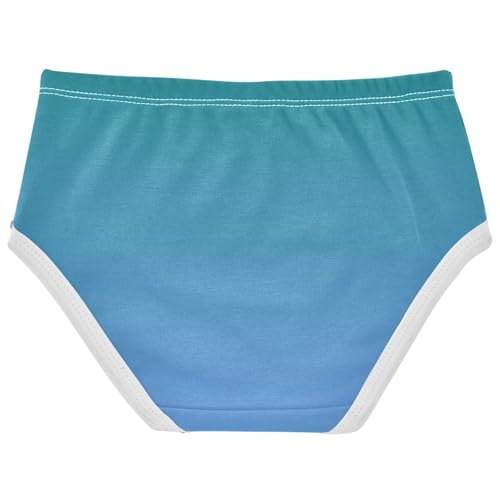 Joisal Teal Green Cornflower Blue Gradient Toddlers Underwear Floral 2t Cotton Little Girl Panties Fancy Briefs Underpants2