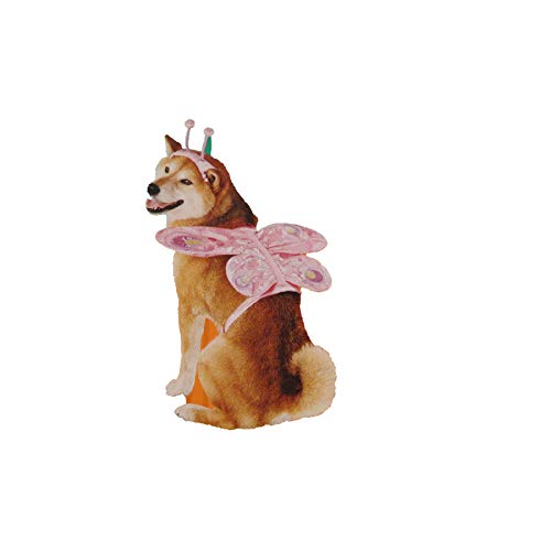 Disfraz Para Perro Mariposa Talla M 15-30 lbs