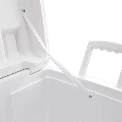 Igloo Caixa Térmica Island Breeze, 45 litros