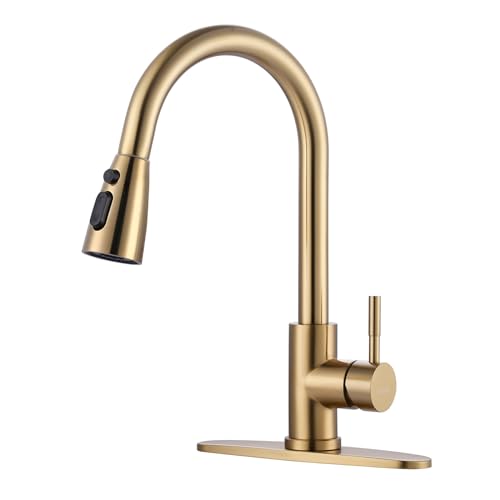 WOWOW Brushed Gold Kitchen Faucet With Sprayer, Stainless Steel High