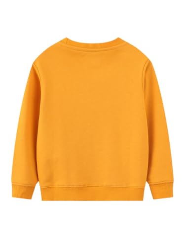 Boys Sweatshirts Casual Sweatshirts Cotton Sweatshirts Long Sleeve T-shirts Crew Neck Cartoon Tops for Boys-6312