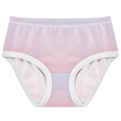 Joisal Elegant Blue Light Pink Gradient Girls Underwear Toddler 2t Cotton Cute Panties Girl Personalized Undies Kids Briefs