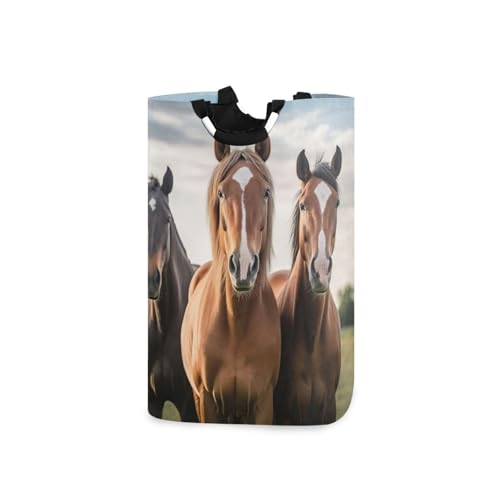 Jihqo Laundry Hamper Basket Three Horses Collapsible Nursery Storage Bin Waterproof Clothing Baskets for Home Bedroom Bathroom Washing Room