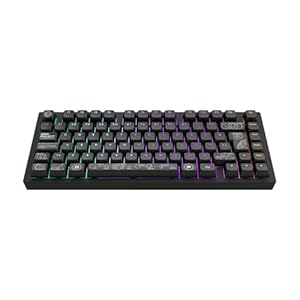 Dark Project ALU81A Terra NOVA Kabellose Mechanische Gaming-Tastatur | ISO Multi | Hot-Swap | G3MS Moonstone Gefettete Schalter | Gefettete Stabilisatoren | Flex Gasket Mount | Aluminium | RGB