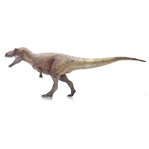 AMITD Daspletosaurus Torosus cadeau idéal pour passionné d'histoire naturelle et dinosaures