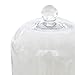 Stonebriar Small Stonebriar 8 Inch Clear Glass Dome Cloche with Rustic Wooden Base, Brown