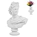 Vaso Decorativo a Forma Di Busto Statua Statuetta Di Piante Grasse Ornamenti Artistici Piante In Vaso Fiori In Resina Durevoli Portapenne Moderno Statua Apollo Greco Statua Busto In Stile Nordico