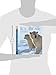Ice Bear: In the Steps of the Polar Bear: Read and Wonder