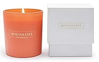 Algopix Similar Product 20 - Benevolence LA Hibiscus  Palmwood