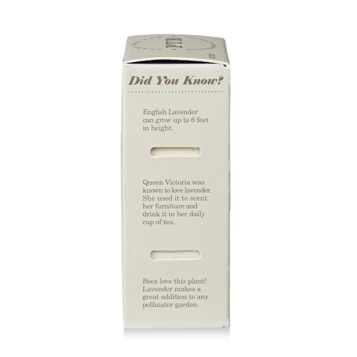 Image of KOBO Plant the Box Heath Lavender Bar Soap (7 oz)