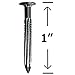 1” – Fluted Hardened Concrete Masonry nails – High strength Cut Carbon steel pointed nails for, cinder block, concrete walls, cement board – 1 in (25mm) Length (200)