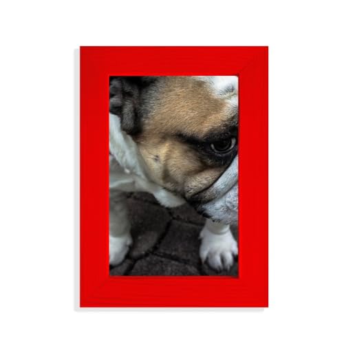 Cadre photo bouledogue rouge idée cadeau originale pour passionnés d'animaux - 2
