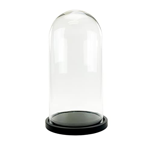 WGV Glass Display Dome Cloche, Diameter 10