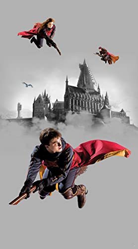 AG Design AFTD2P 5614-411 Harry Potter Fleece Photo Wallpaper 150 x 270 cm 2 Pieces, Multicoloured - Image 2