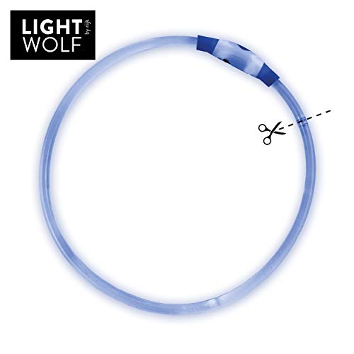 LED Leuchthalsband für Hunde von riijk – Sicher und langlebig