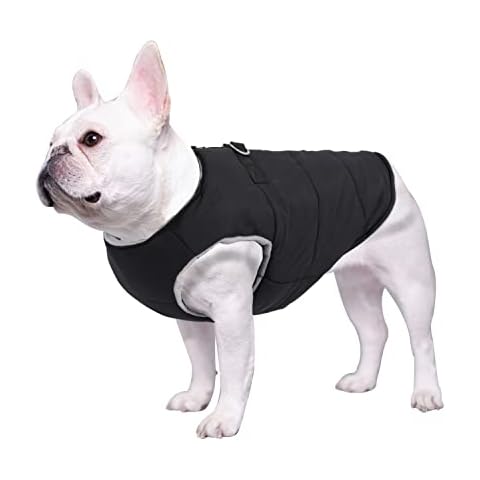 Geyecete Cotton Padded Coat for Dogs Cover