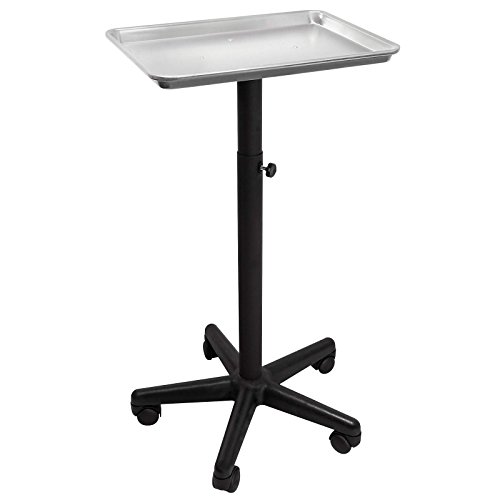 Saloniture Premium Aluminum Instrument Tray - Silver
