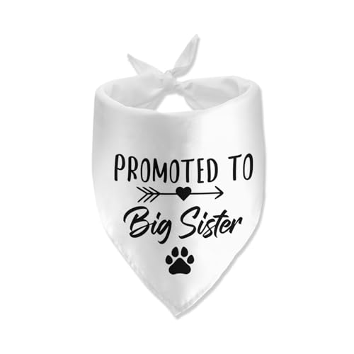 Promoted to Big Sister - Bandana para perro, anuncio de embarazo, bufanda para mascotas, accesorios para mascotas, amantes de los perros, ideas de revelación de embarazo