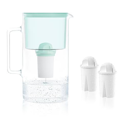 Wessper Caraffa Filtrante 2,5 litri, set di caraffa filtrante vetro con 2 filtri classic, caraffa acqua compatibile con Brita Classic, Dafi Classic – Menta