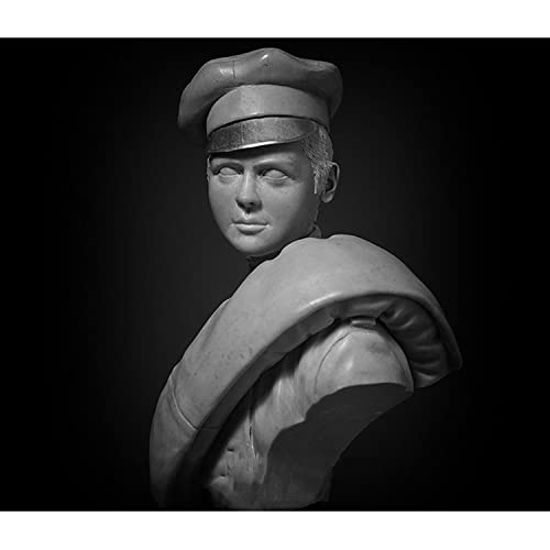 Figura modelo antiguo 1/10 busto oficial invierno resina miniatura 1