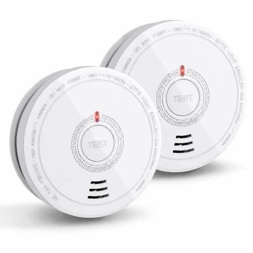 Fire Alarms Battery Operated for Home Smoke Alarms Detector with 10 Years Life/5 Years Battery Fire Alarm with LED Indicator and Silence Button Photoelectric Smoke Alarms for Home (2 Pack)