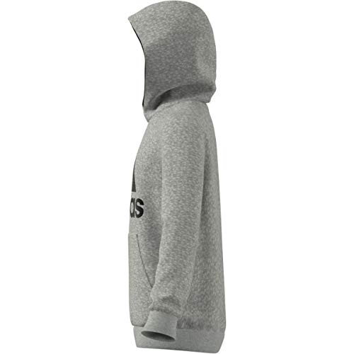 Blusão Moletom Adidas com Capuz Essentials JUVENIL