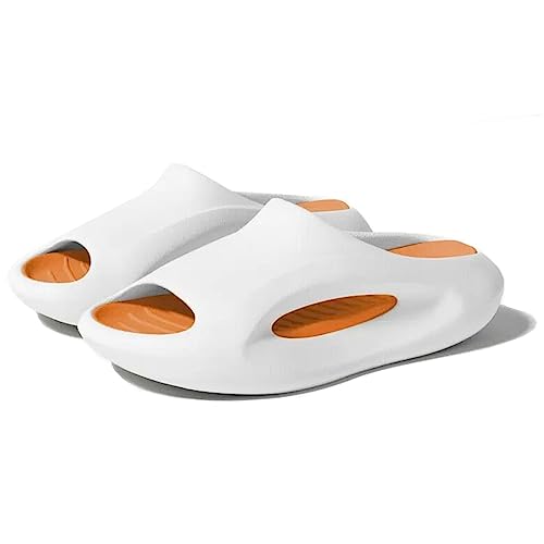 [kaidisen] zF T_ Xbp  EVA y [V[Y NbV [Xbp fB[X Y  O