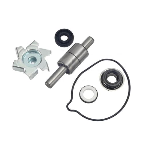 Kit réparation pompe à eau VT1100 C2 Shadow ACE Sabre joint torique
