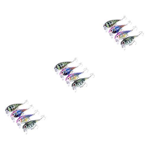 Leurres peints BESPORTBLE 12 pièces avec couleurs pour attirer les poissons