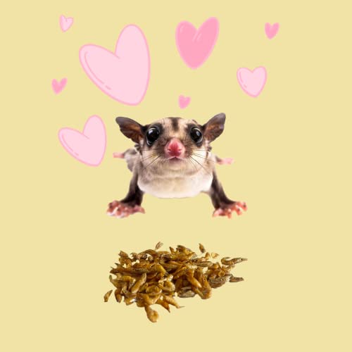 Petivore Premium 100% Dried Shrimp For Sugar Glider, Hamster, Chinchillas, Marmoset, Fish, Reptiles And Other Small Exotic Pet Treats (10G.) #TOP2