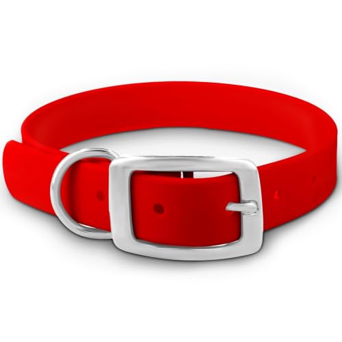 Regal Dog Products collier chien large rouge imperméable, double boucle robuste