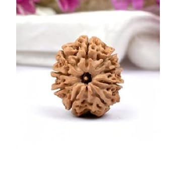 USPTO Nine Faced Rudraksh Original Certified With Capped & Thread Nav Mukh Rudrachh AAA+++ Rated Genuine Bead Naturally Grown Nau Mukham Rudracham Precious Brown Bead Nau Faced Rudrakshaka Pooja Seed Blessed By Nav Durga Maa For Wearing