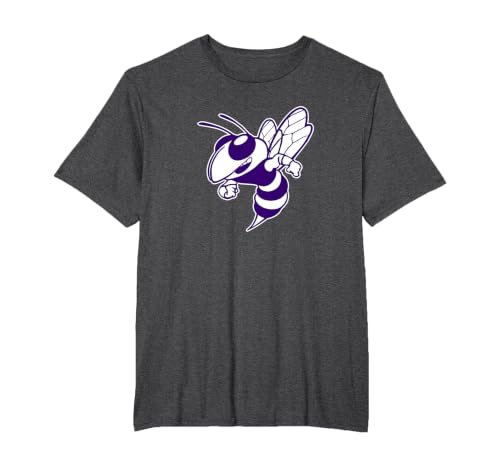 Deep Creek High School Hornets T-Shirt, Men's Big and Tall, Dark Heather Grey, 2X Tall