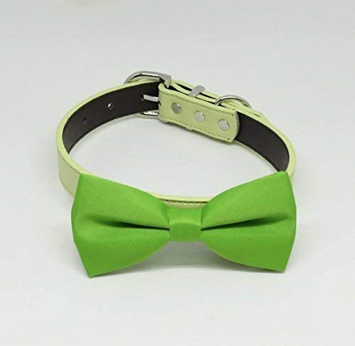 Green dog bow tie Clearance