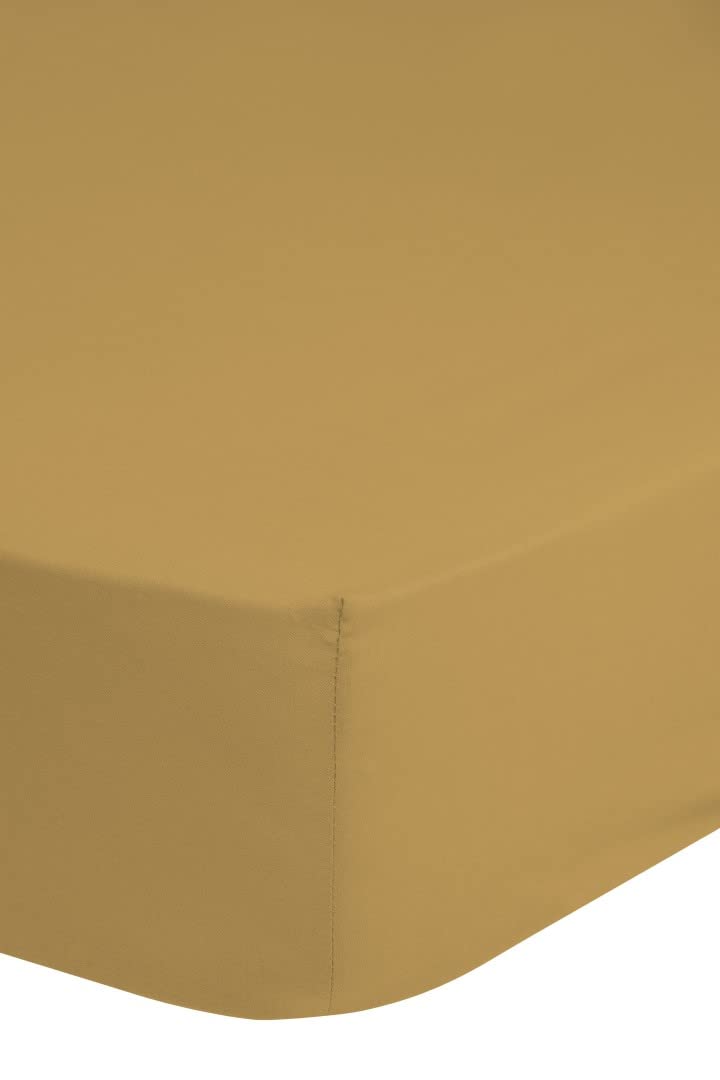 Fitted Sheet 90 x 200 cm Cotton Satin Ochre