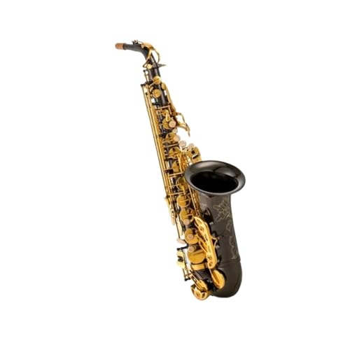 初心者サックス ブラックニッケルゴールドアクセサリー+スーツケースアルトサックスEフラットサックス管楽器初心者演奏レベル