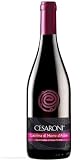 Cesaroni Lacrima Morro d'Alba DOC 2023 75cl