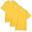 Light Gold (3 Pack)