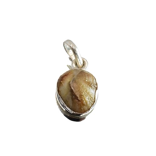 Ratna Shree Jewellers & Gems Machmani 13 Carat Silver Locket 100% Natural Machmani | Certified from gem Testing Lab Authentic (B0971GTM6T) Amazon Price History, Amazon Price Tracker
