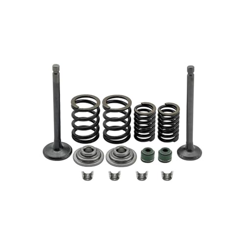 Kit resortes sellado de válvulas culata soluciona humo azul en CRF100F 04-13