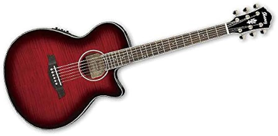 IBANEZ AEG24II アイバニーズ AEG24Ⅱ | Ibanez Wiki | Fandom
