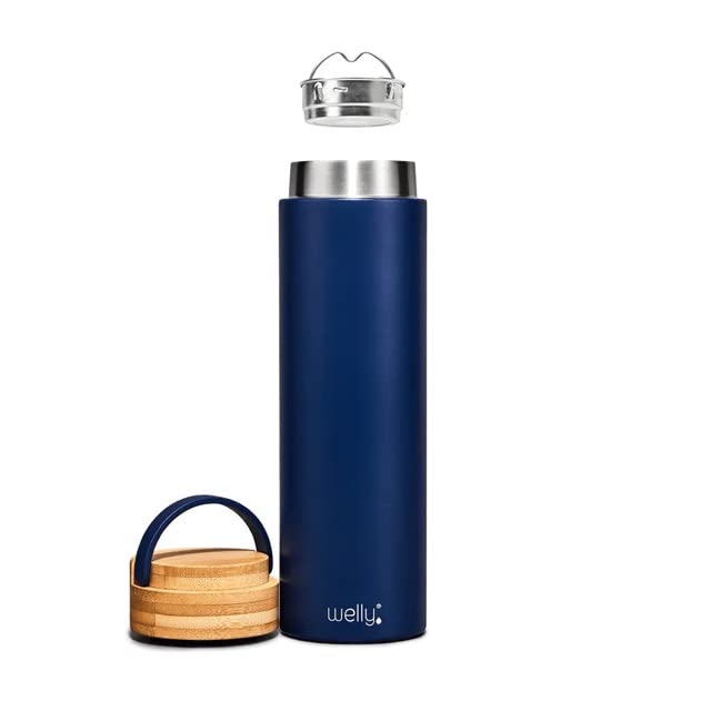Amazon.com: Welly: Traveler