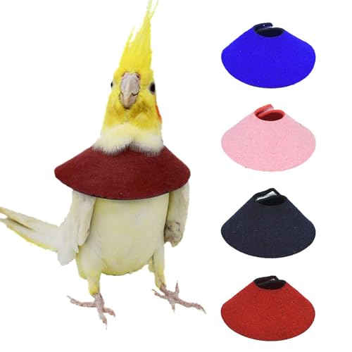 QBLEEV 4Pack Pet Parrot Anti-bite E-Collars, Anti-Grab Feather Plucking Wound Healing Safety Elizabethan Collar, Protective Recovery Cones for Budgerigar Lovebird Agapornis Fischer Cockatiel Cockatoo